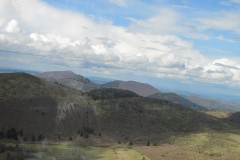 IMG_0993