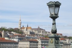 IMG_9462