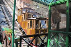 IMG_9473
