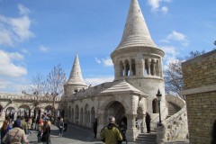 IMG_9515