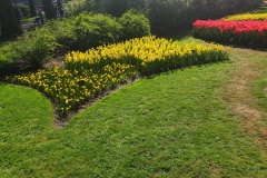 20190420_112614