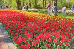 20190420_112826