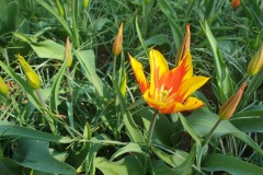 20190420_112948