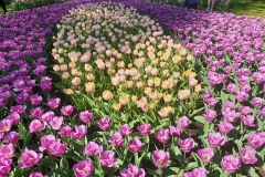 20190420_113559