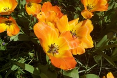 20190420_114936