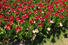 20190420_130350