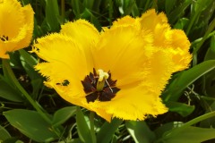 20190420_130457