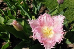 20190420_132749
