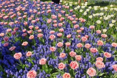 20190420_132916