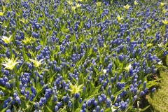 20190420_132924