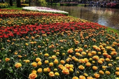 20190420_133526