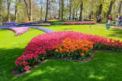 20190420_134406