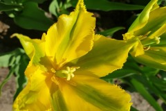 20190420_135439