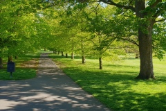 20180503_163745