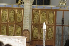 IMG_0881