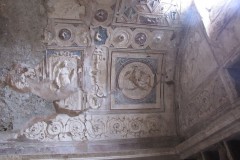 IMG_1106