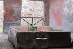 IMG_1176