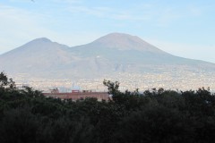 IMG_1300