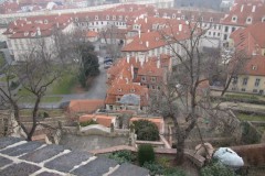 IMG_0758