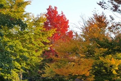 20161005_173418