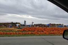 20161008_100810