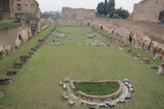 IMG_0901