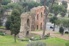 IMG_0905