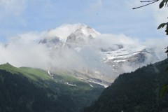 IMG_1550