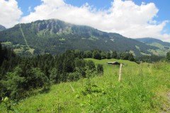 IMG_1660