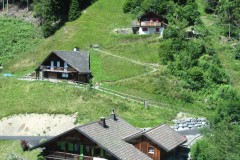 IMG_1706