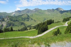 IMG_1712