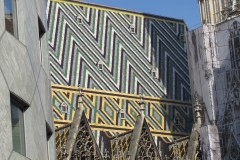 IMG_1245