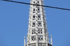 IMG_1456