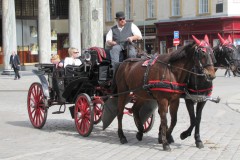 IMG_1539